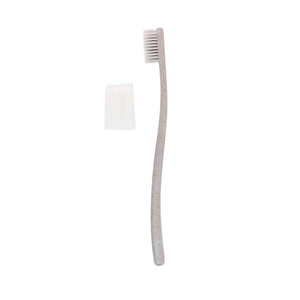Xywhite Toothbrush (Grey)