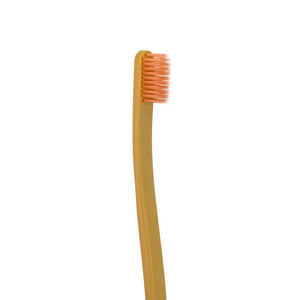 Xywhite Toothbrush (Gold)